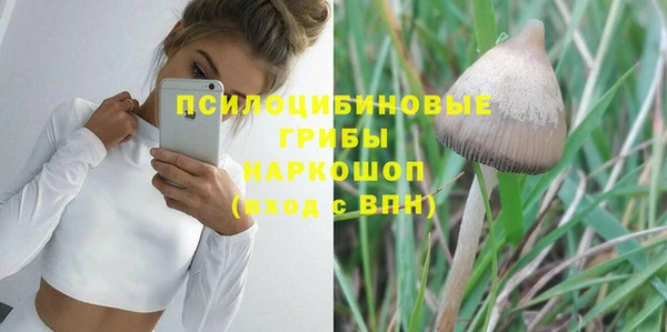 метамфетамин Белокуриха