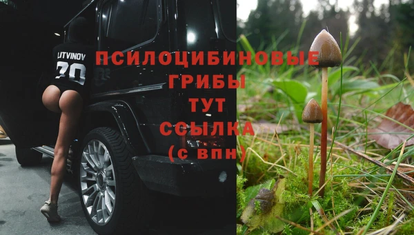 герыч Беломорск