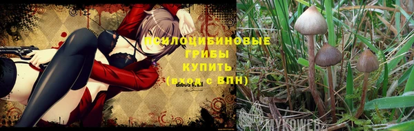 твердый Белоозёрский