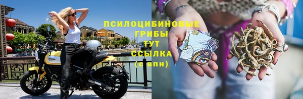 твердый Балахна